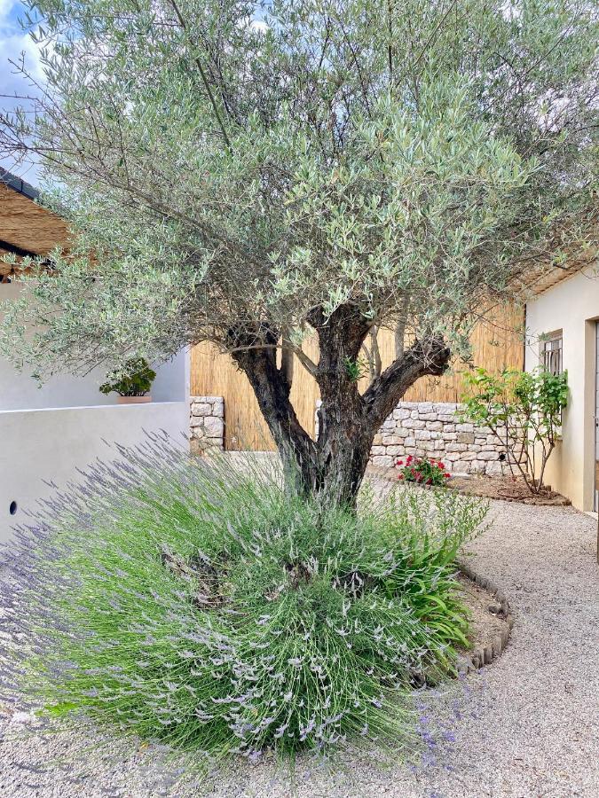 Le Cabanon Valbonne Apartment Exterior foto